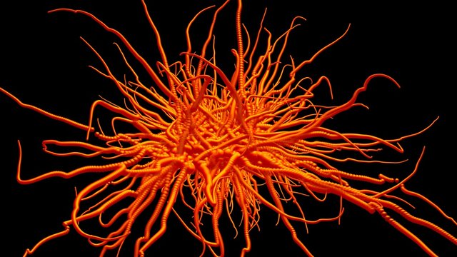 Mycelium network , fungal root system growing . Tendrils spreading outwards . 3d rendering art concept