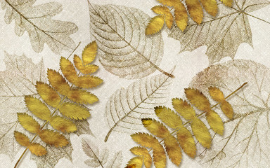 Fototapety  3d illustration, gray fabric background, beige and translucent autumn leaves