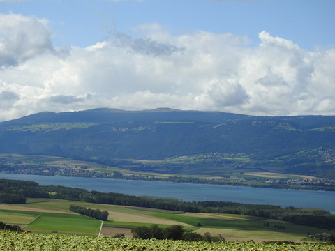 paysages