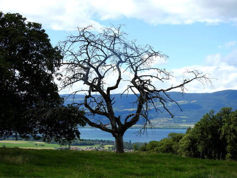 paysages