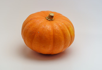 Pumpkin isolated on white ground