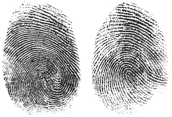 Fotobehang fingerprints isolated on white vector illustration © Andrey Kuzmin