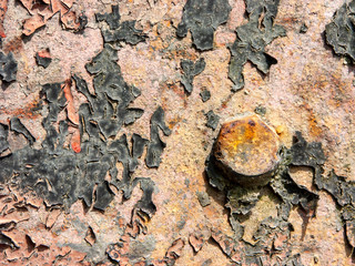 Typical detail of antique metal panel of an Italian rural house, in iron with rust, cracked paint and rusted bolt detail.