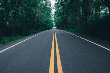 asphalt road with yellow diving line and forest background