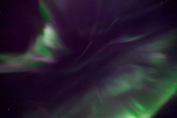 Haze, glow, play green, purple and white flowers in night starry sky