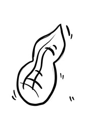 Peanut hand draw icon. Peanut on a white background. 