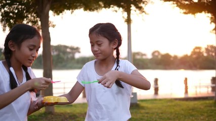 The old sister and young sister, who are wearing a white shirt, braid, cute white dresser, playing, blowing soap bubbles at the lawn on the riverside in the evening sunset. - Powered by Adobe