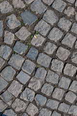 The road is lined with large gray stones. Grey background.