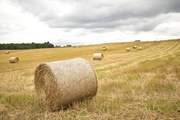 bales of hay in field