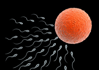 Sperm with egg. 3d render
