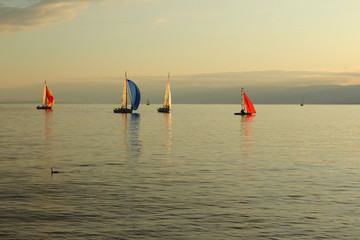 Fototapeta premium Beautiful sunset at the Lake Geneva in Lausanne, Switzerland, with colorful sailboats