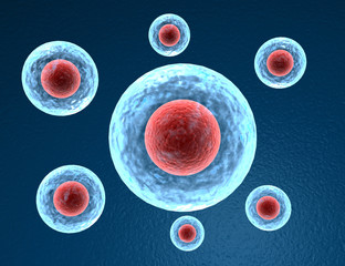 Human cells. 3d render .