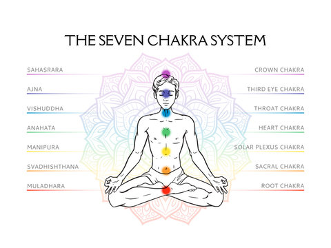 Seven chakra system in human body, infographic with meditating yogi man, vector illustration