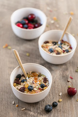Muesli avoine fruits secs et myrtilles