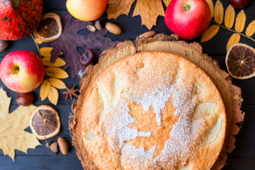 Homemade apple pie on a wooden dark table, top view.
