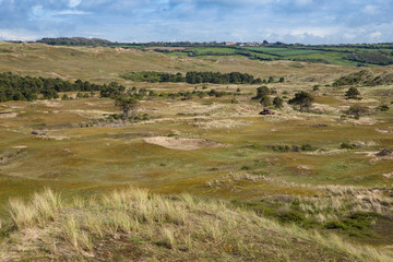 Obraz premium Bord de mer, dunes dans le cotentin