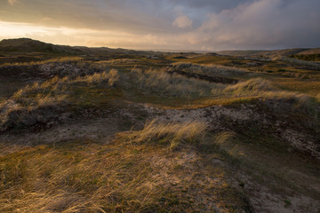 Fototapeta na wymiar coucher de soleil sur les dunes dans le cotentin