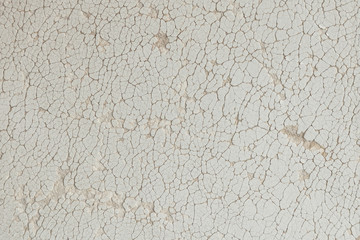 Background skin texture, artificial eco-friendly with cracks, animal protection, white