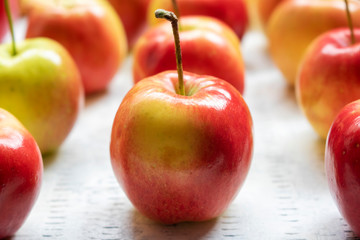 Close up of red crabapples in rows