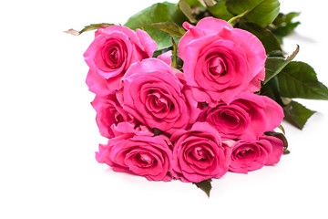 Beautiful rose flowers bunch isolated on white background