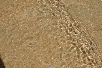 footprints in the sand