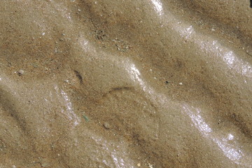 Fototapeta premium water drops on sand
