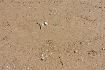 footprints in sand