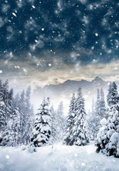 Majestic winter landscape with snowy fir trees.  Winter postcard.