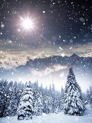 Fototapeta premium Majestic winter landscape with snowy fir trees. Winter postcard.