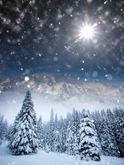 Naklejka premium Majestic winter landscape with snowy fir trees. Winter postcard.