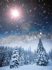 Fototapeta premium Majestic winter landscape with snowy fir trees. Winter postcard.