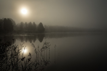 Foggy morning over the lake