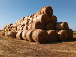 haystacks on a hot, sunny autumn day on the field