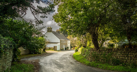 English Country Lane and Cottage, Cornwall