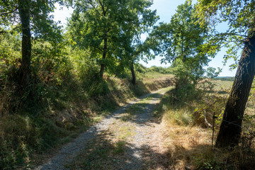 The ter route through the interior of Girona