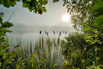 Natural frame with September's lake fog