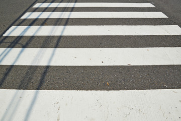 zebra crossing