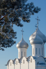 Russian church in Vologda and a frozen fir branch in winter sunny day, selective focus