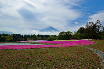 mt fuji in spring