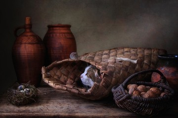 Spotted cat and small mouse in the  old pantry