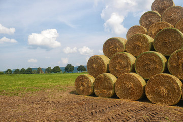 stack of straw bales - round straw bales stacked in a pyramid, on a field, tree alley and blue sky with white clouds in the background