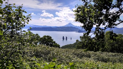 Fototapeta na wymiar Rocks in the Bay. View through green foliage. Volcano in the background. Bay.
