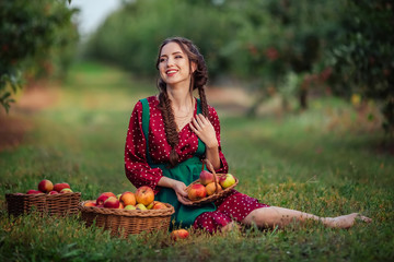 A young attractive woman in a red apron green dress picks ripe apples in wicker baskets in the apple orchard.