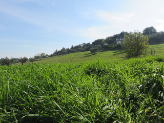 Paesaggio naturalePaesaggio naturale