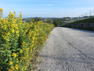 Obraz premium Paesaggio naturale