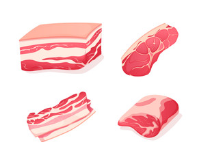 Set fragments of pork and beef meat. Assortment of meat slices of dish. Fresh pork and beef tenderloin with a layer of bacon and juicy soft boneless fillet. Vector illustration.