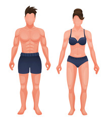 Structure of anatomy human body. Appearance of torso man and woman with muscle structure, press, in half naked. Body structures in full growth. Vector illustration.