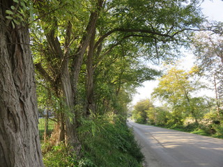 Paesaggio naturale