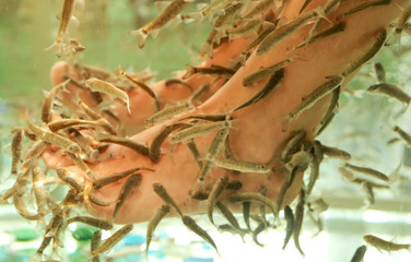 Foot cleaning with fish in the aquarium