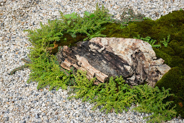 Natural stone landscaping in home garden